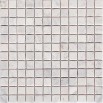 DAO-536-23-8 Мраморная мозаика DAO 300x300 мм