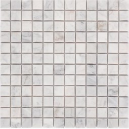 DAO-636-23-8 Мраморная мозаика DAO 300x300 мм