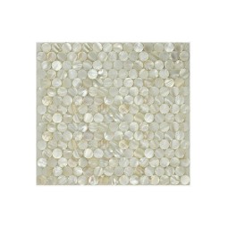 SMA100 Мозаика из ракушек Философия мозаики 282x282 мм